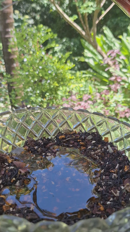 "TURMERIC HONEY CACAO CHAI"